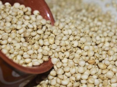 Cholam–scaled Cholam--scaled